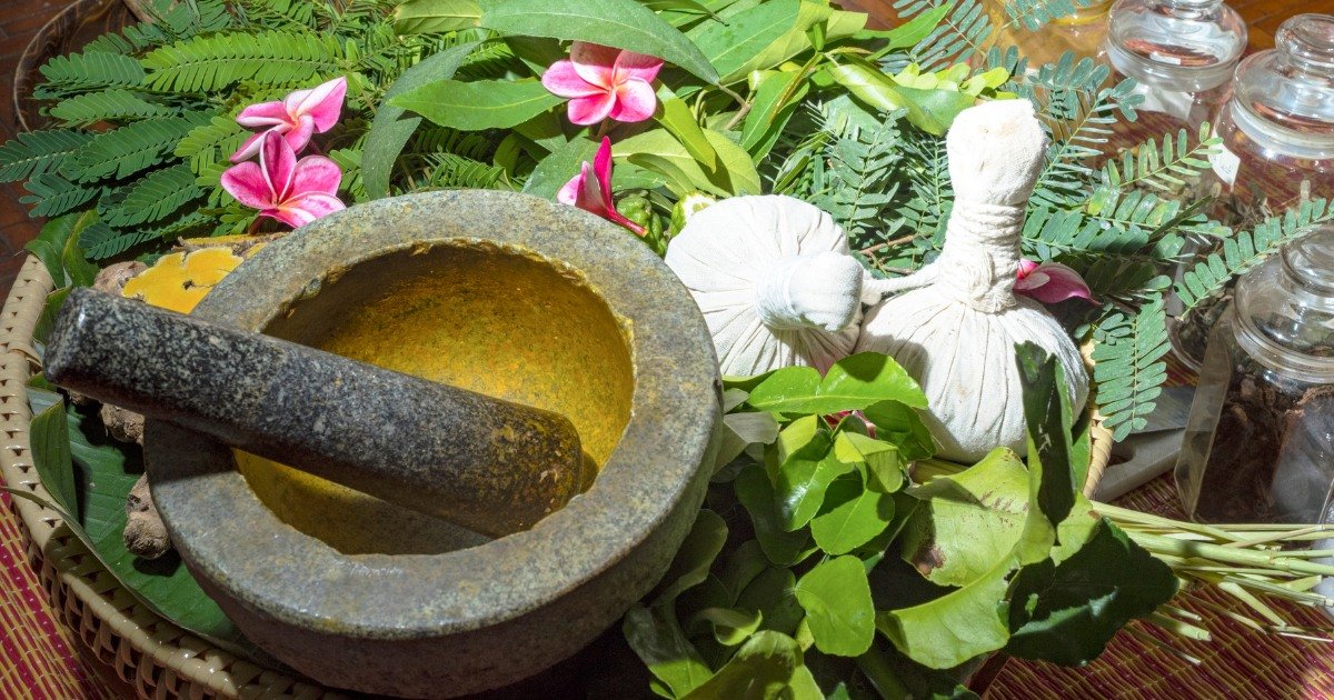 NUTRICOBOOST - Benefits of Taking NUTRICOBOOST Herbal Health Capsule Daily