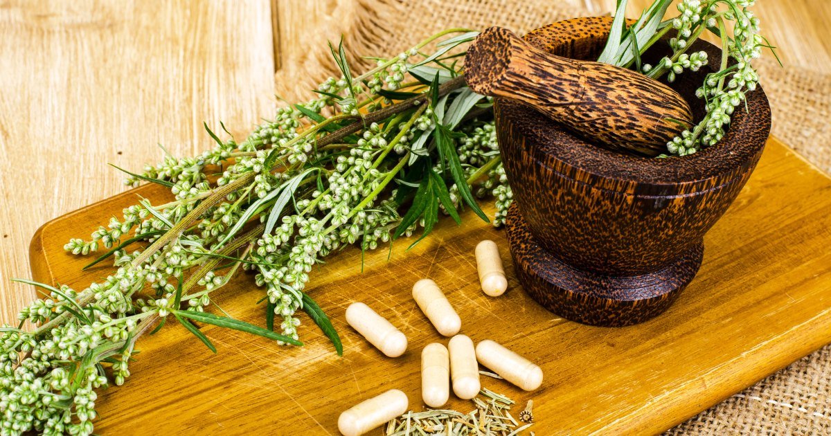 NOPAINPLUS - Verified Painkiller Herbal Capsule for Muscle and Joint Health